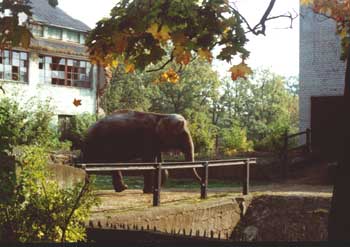 ��������������� �������. �������, ������������� �������������.