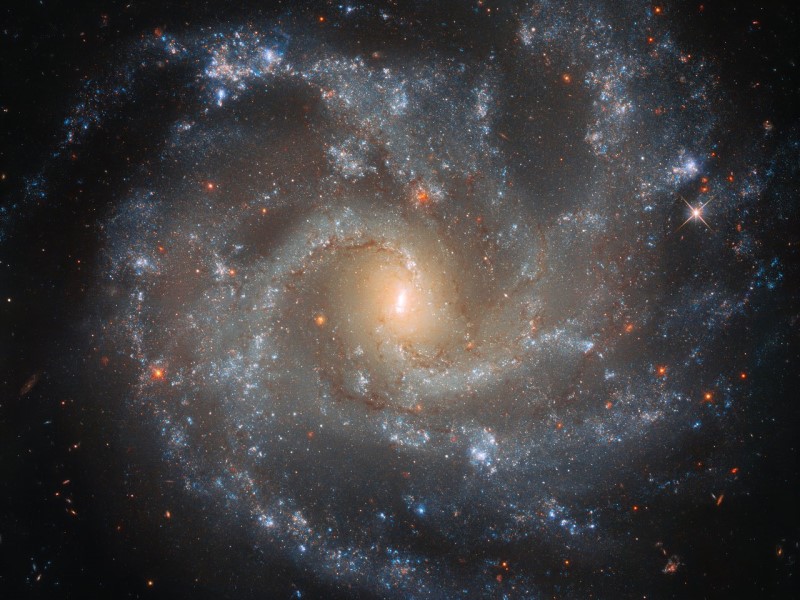 Фото: драма сверхновых «глазами» телескопа «Хаббл»